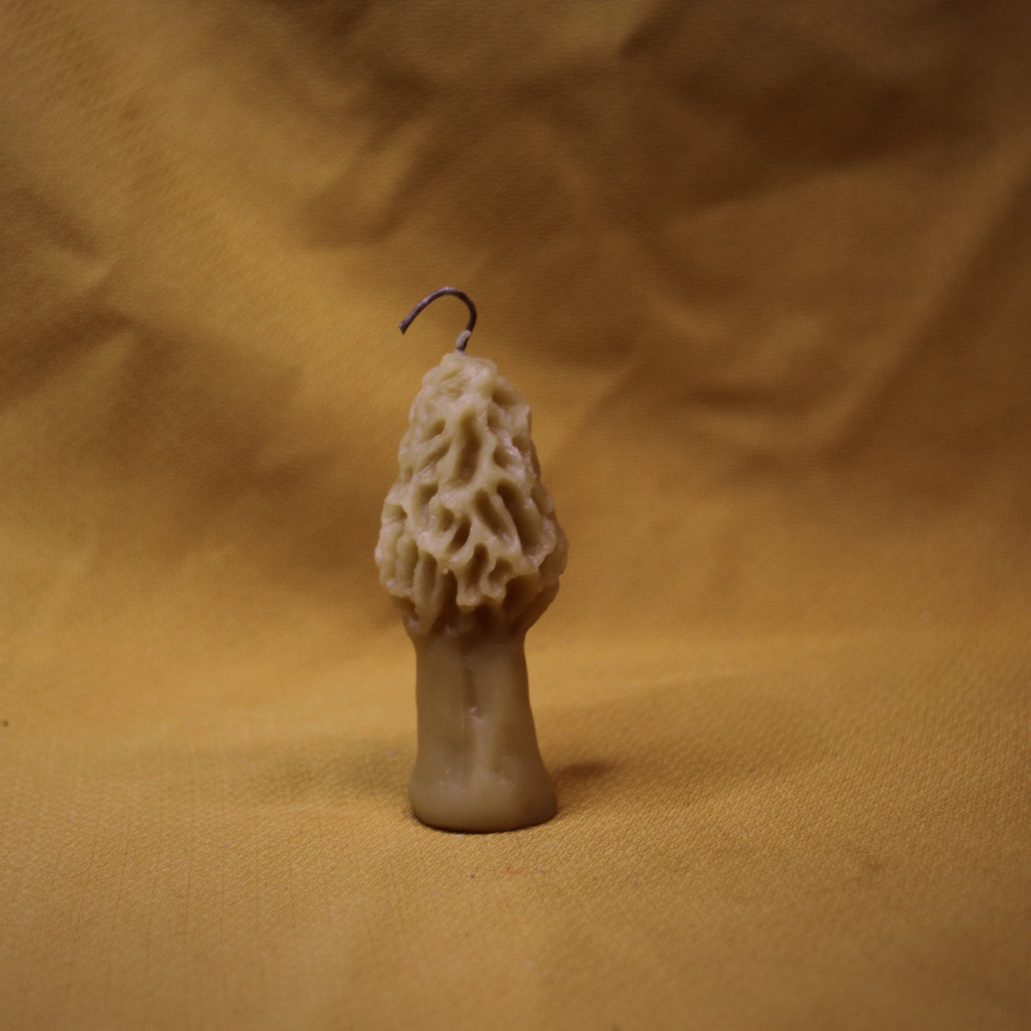 Morel Mushroom Candle