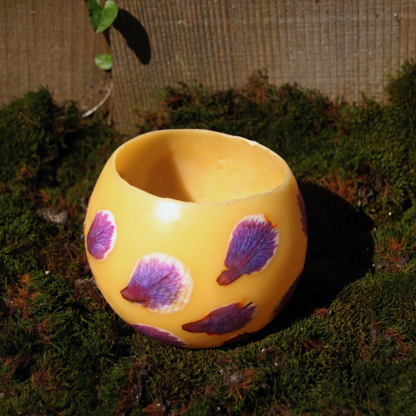 Camellia Lantern
