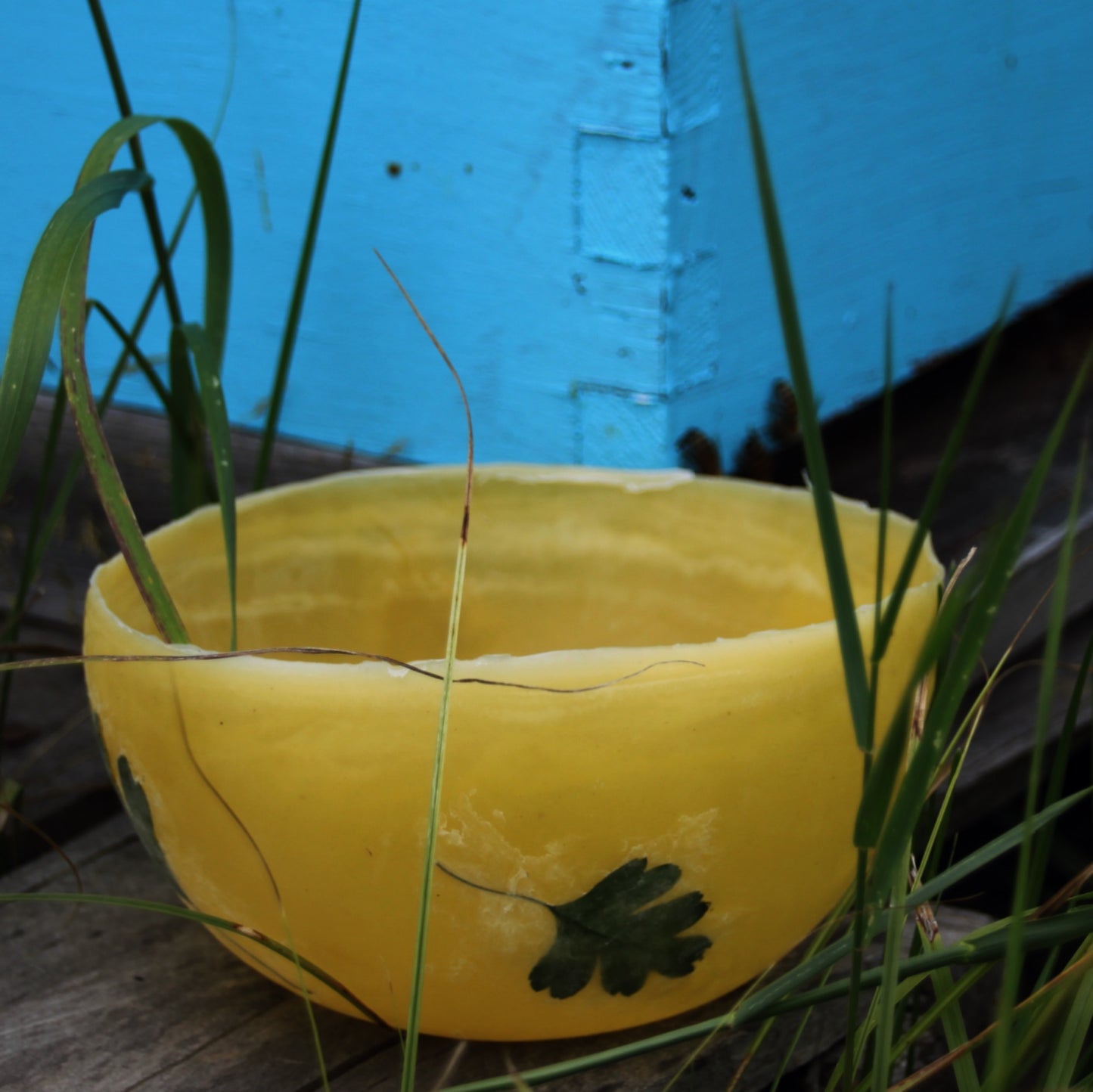 Beeswax Lanterns