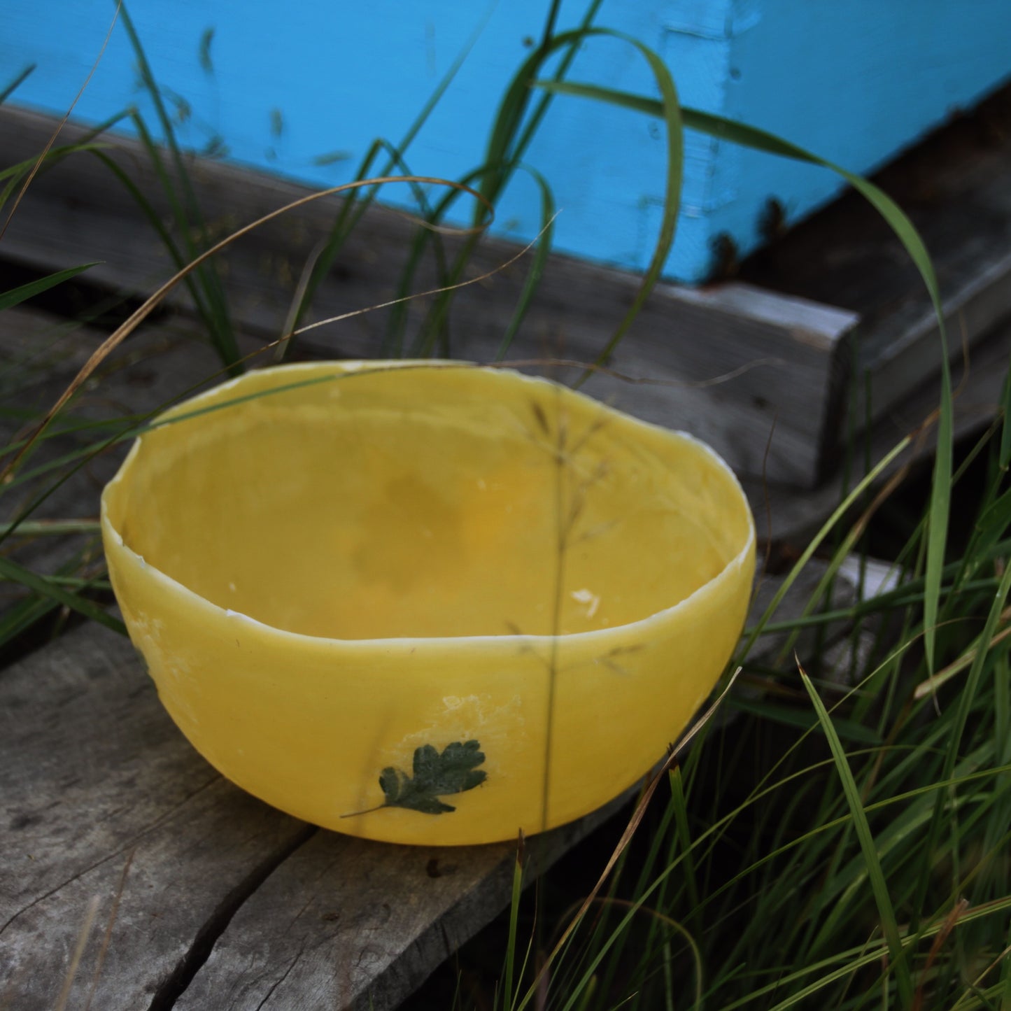 Beeswax Lanterns