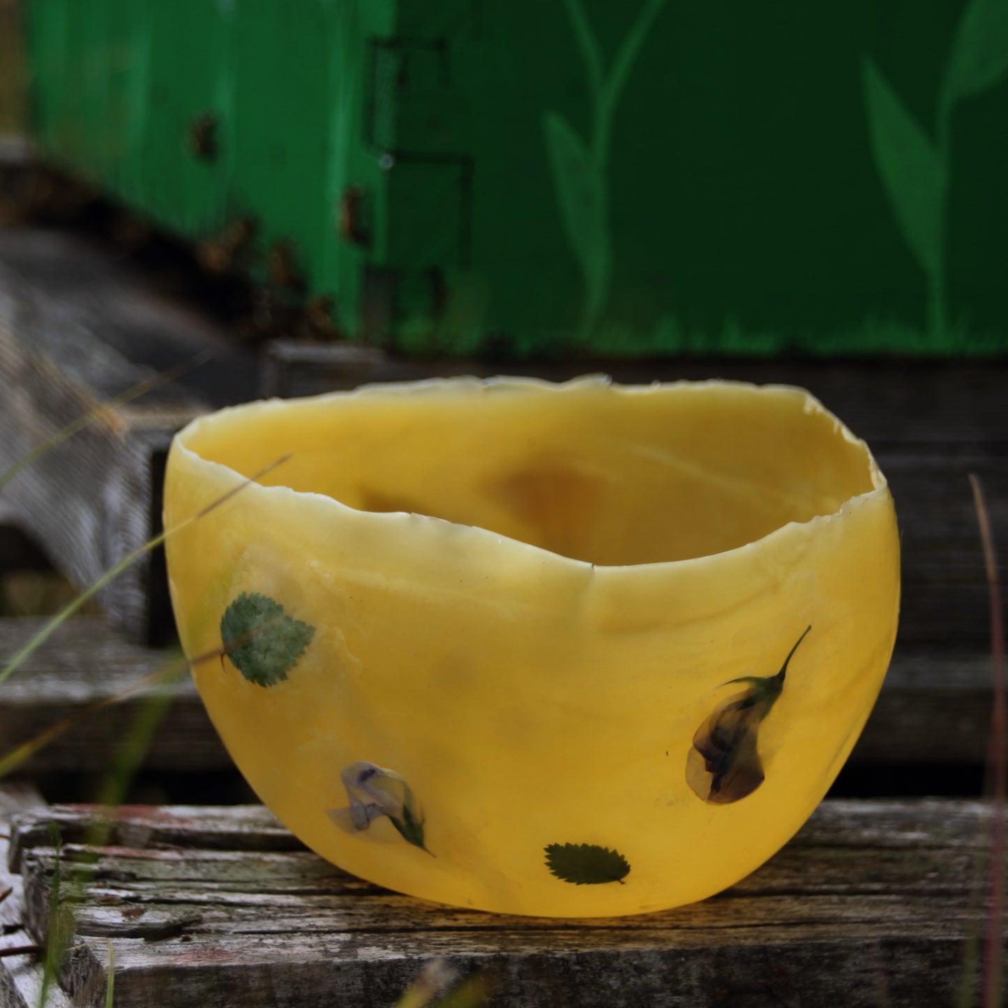 Beeswax Lanterns