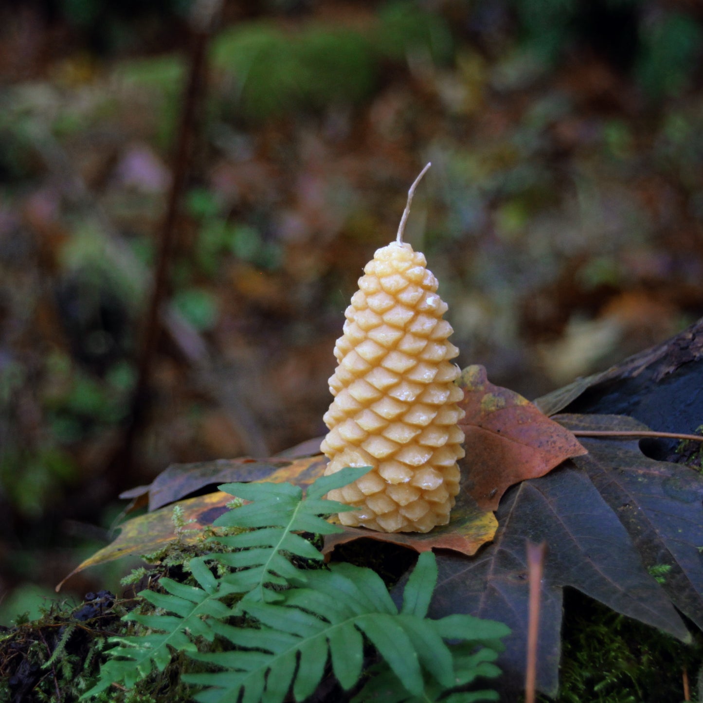 Pinecone Candle
