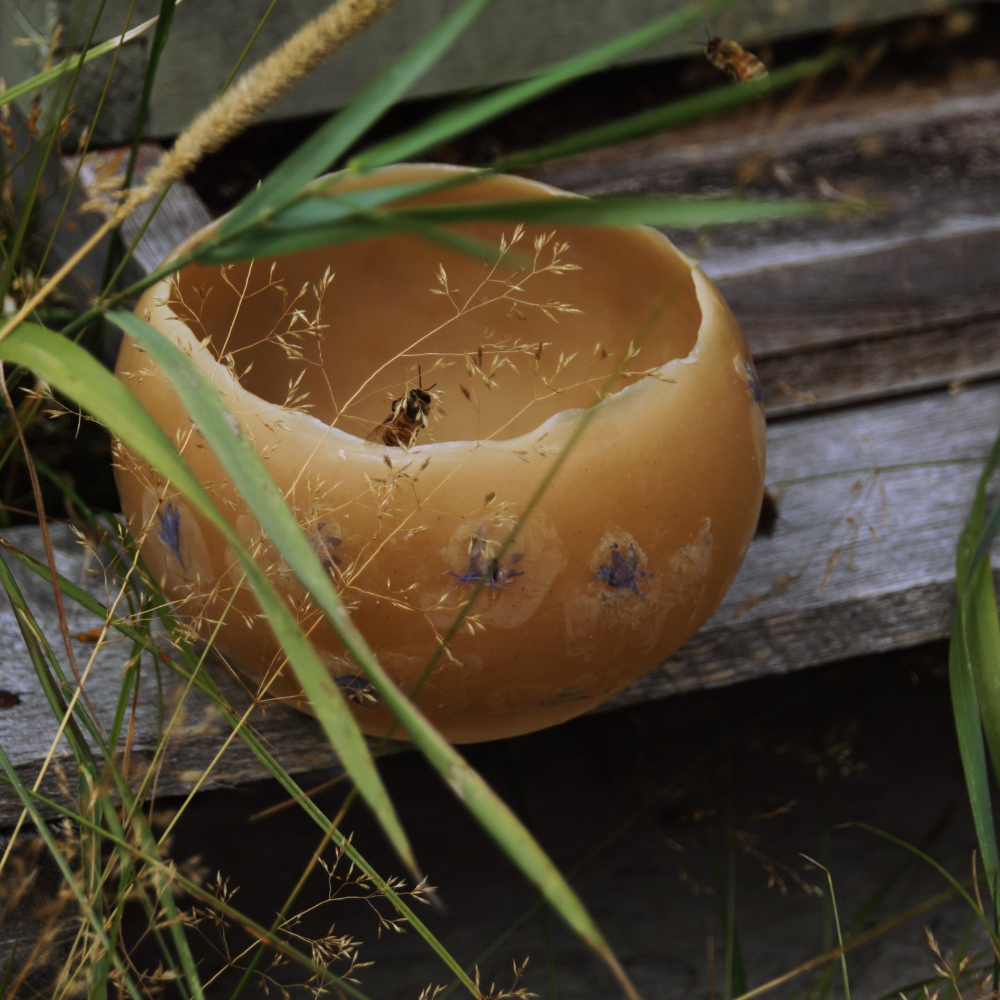 Beeswax Lanterns
