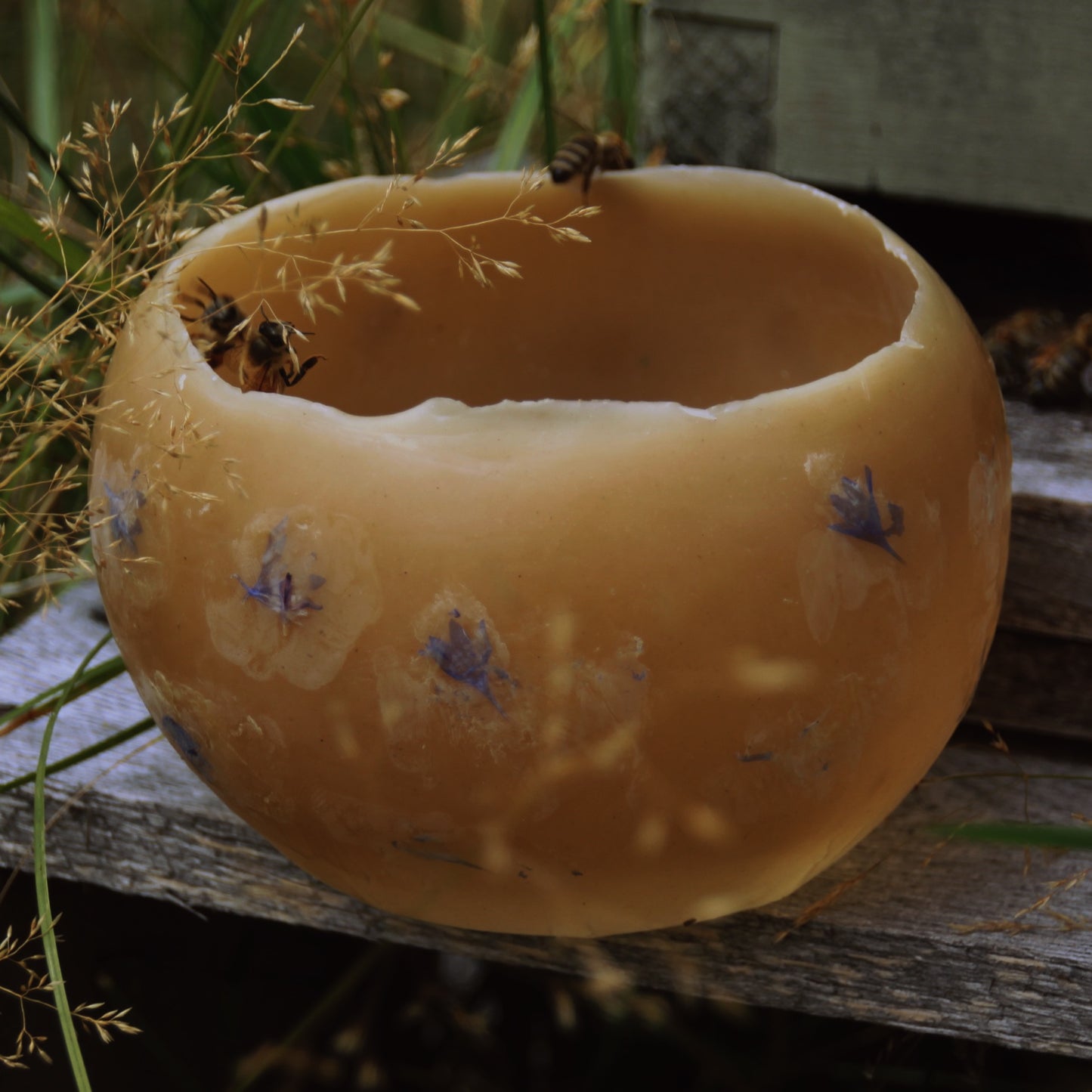 Beeswax Lanterns