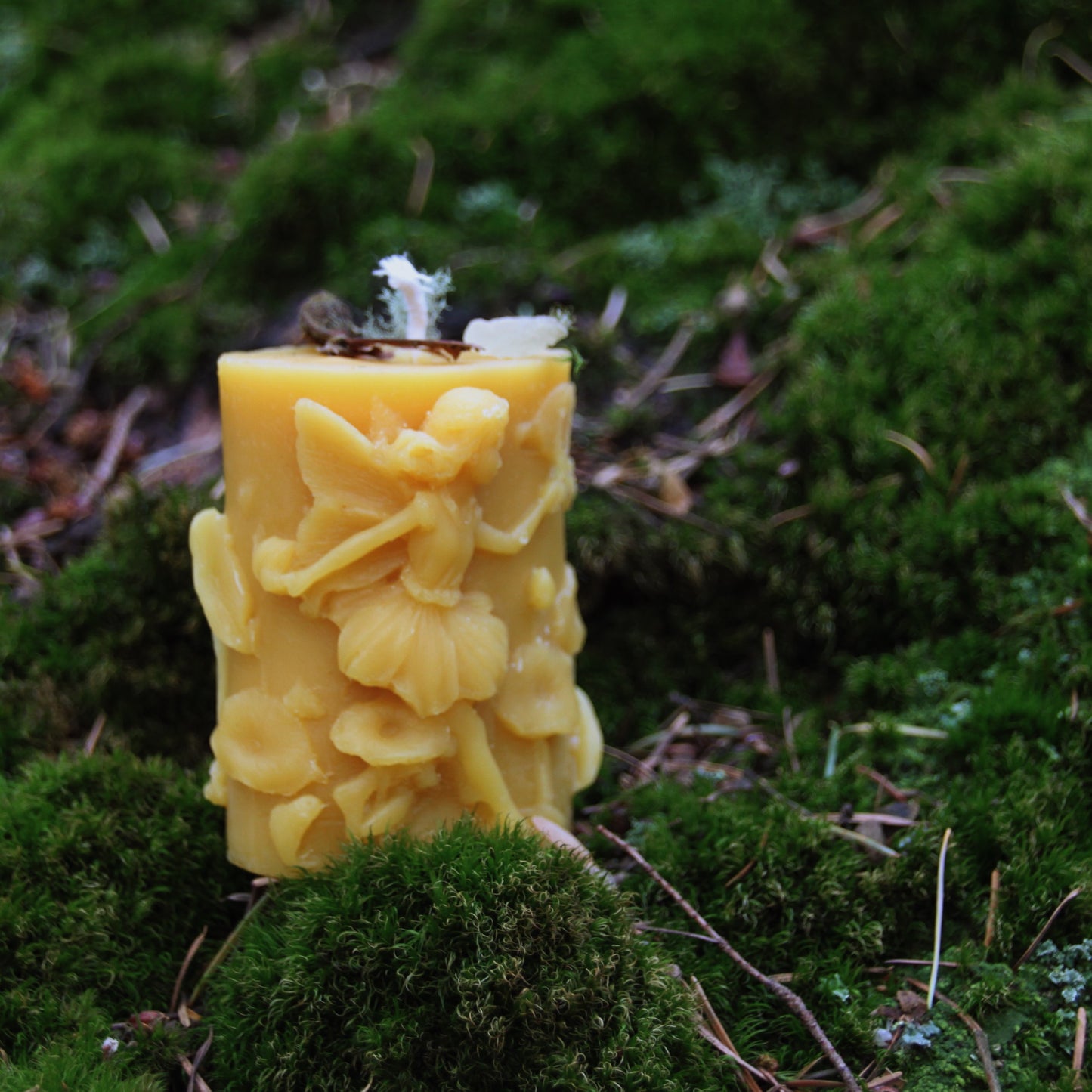 Fairy Candle