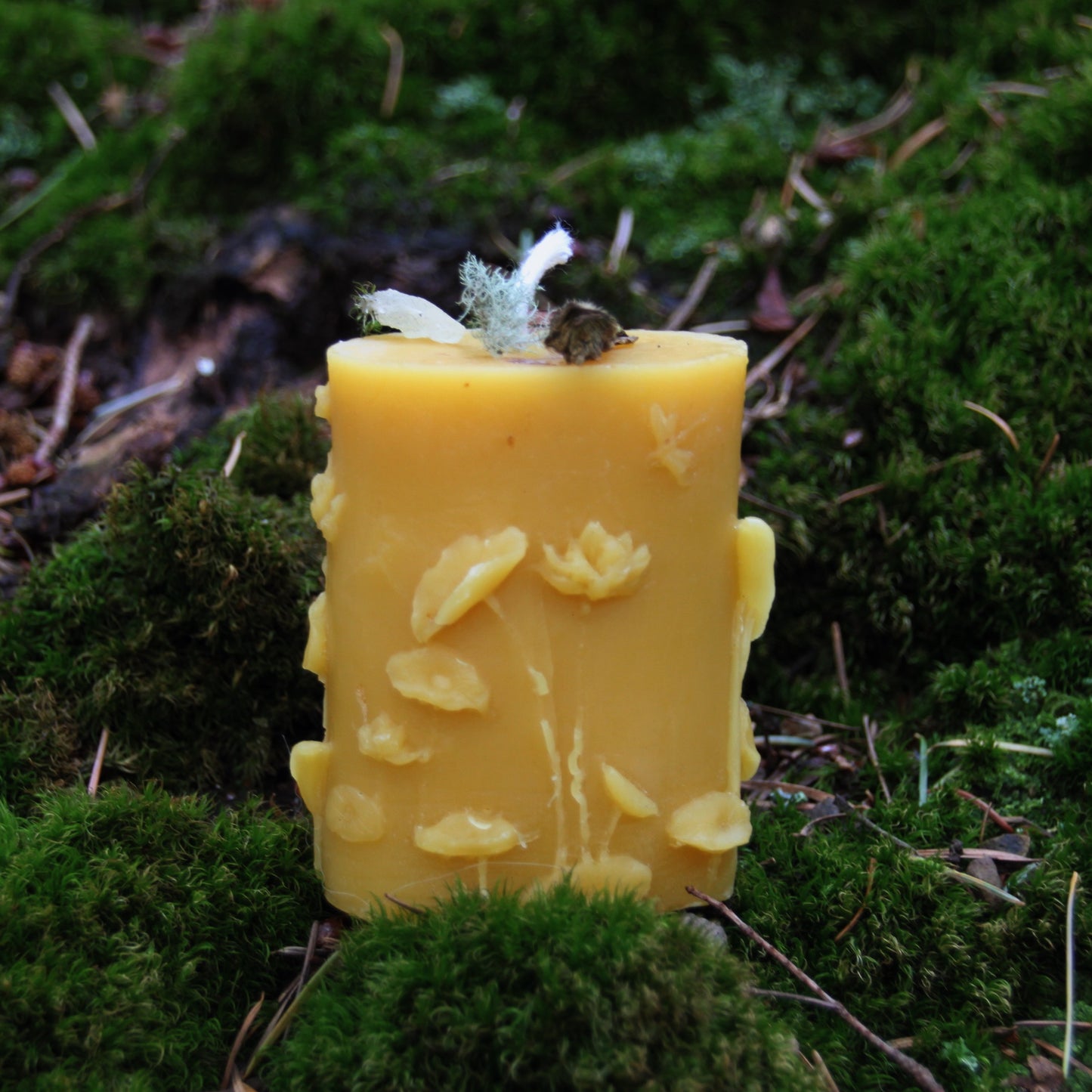 Fairy Candle