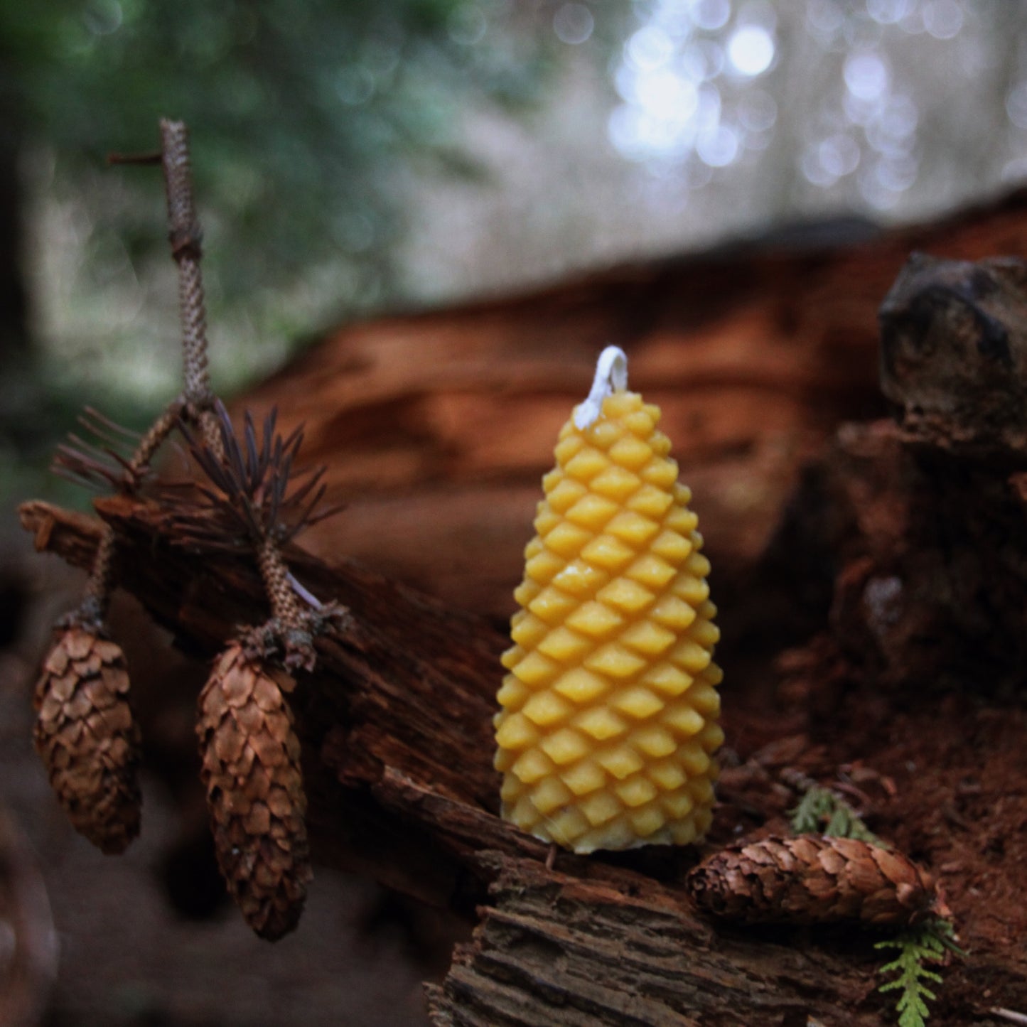 Pinecone Candle