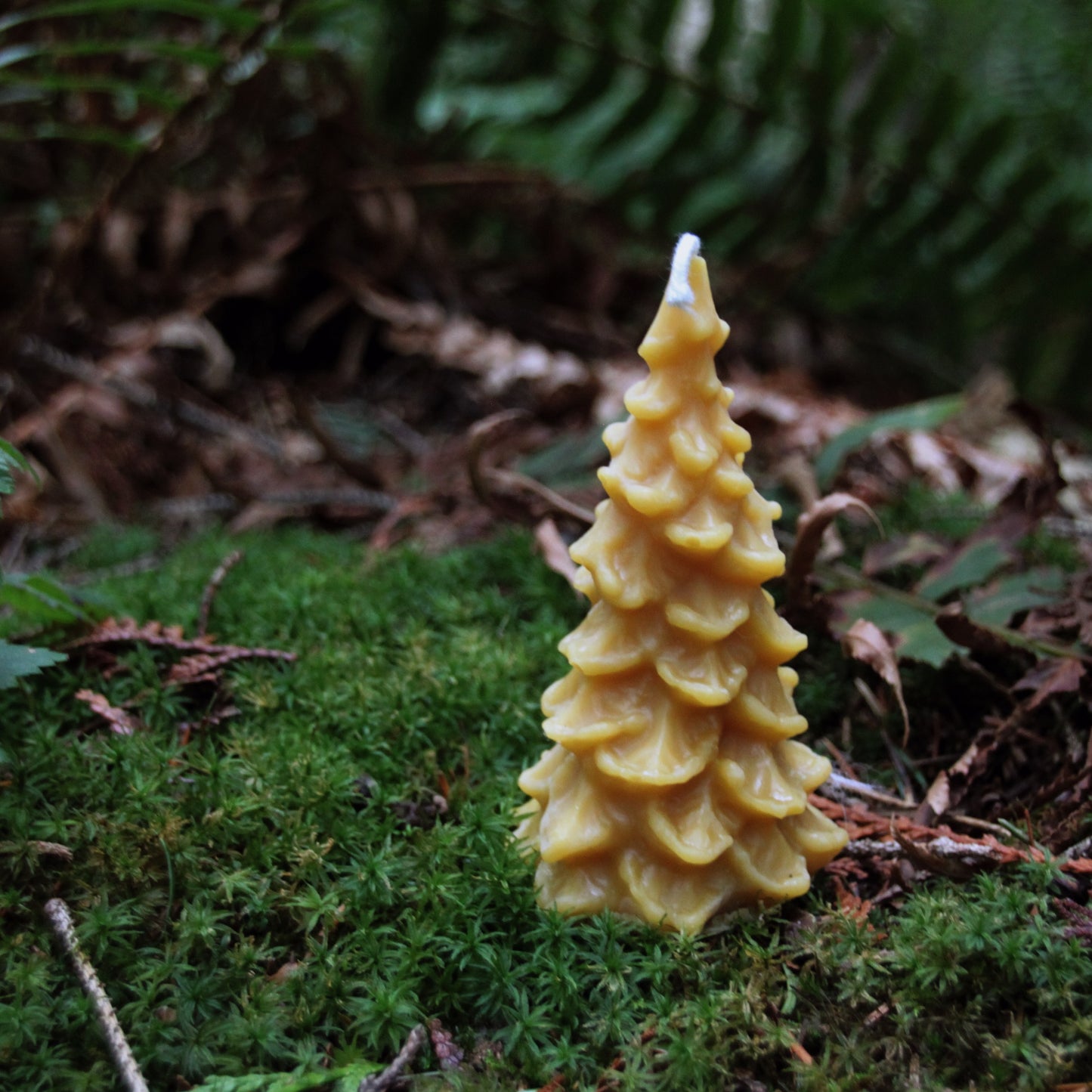 Tree Candle