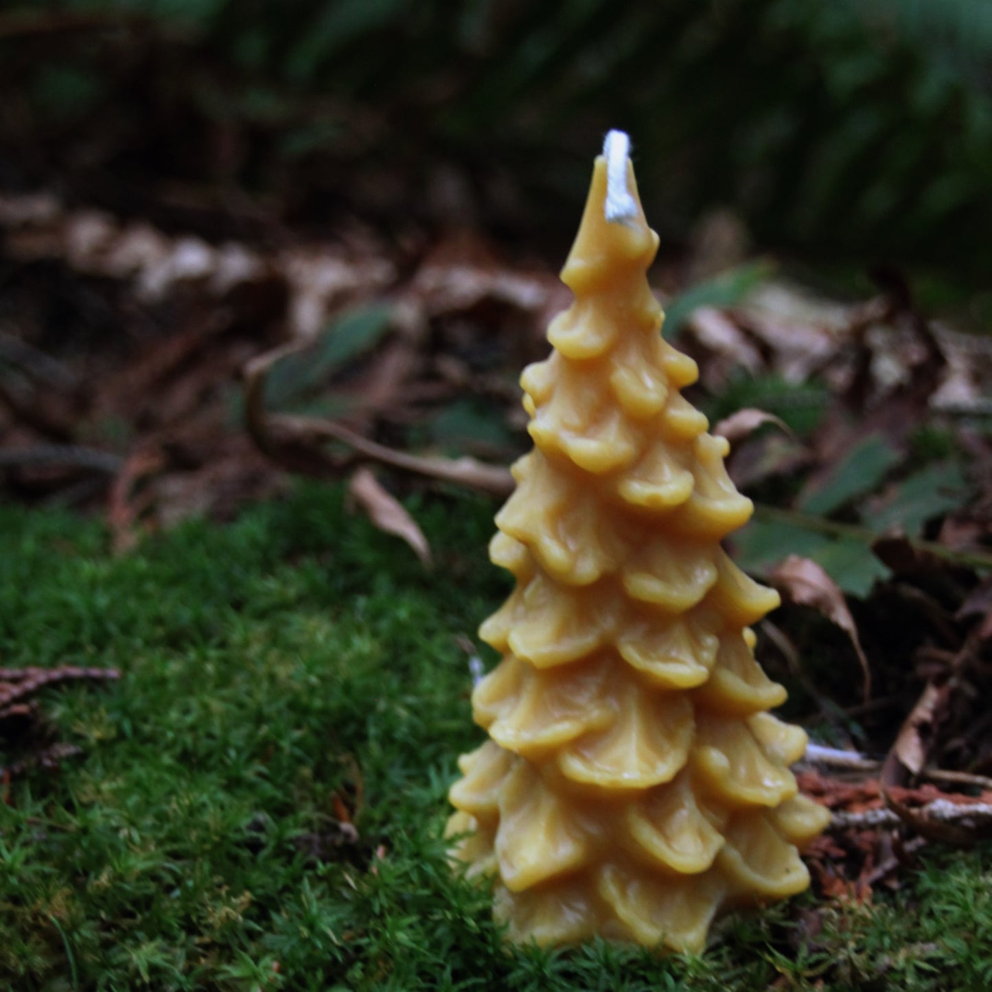 Tree Candle