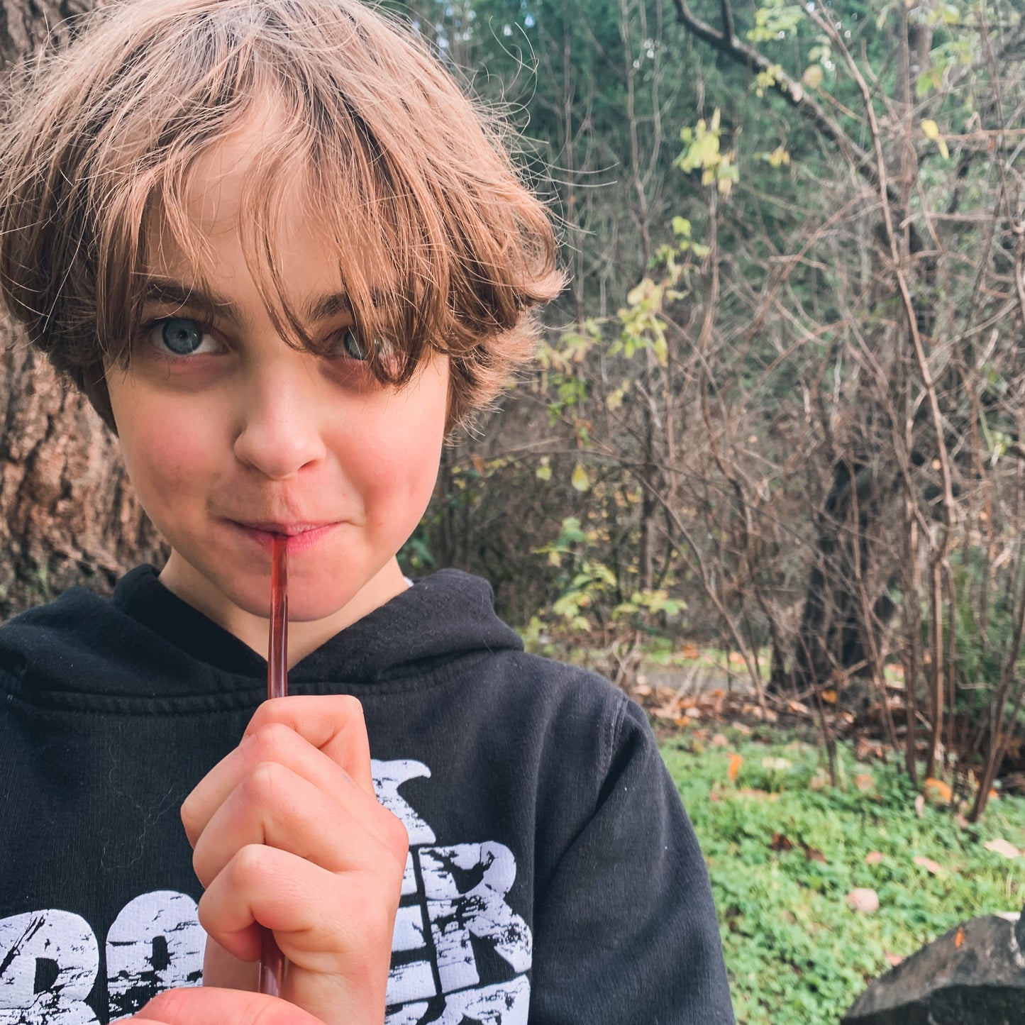 Honey Straws