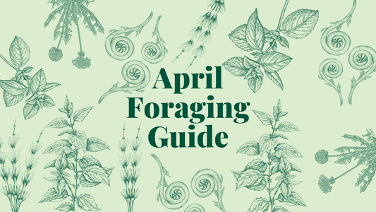 April Foraging Guide