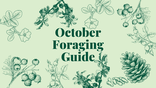 October Foraging Guide