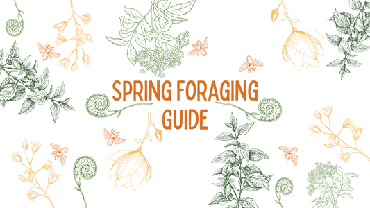 Spring Foraging Guide