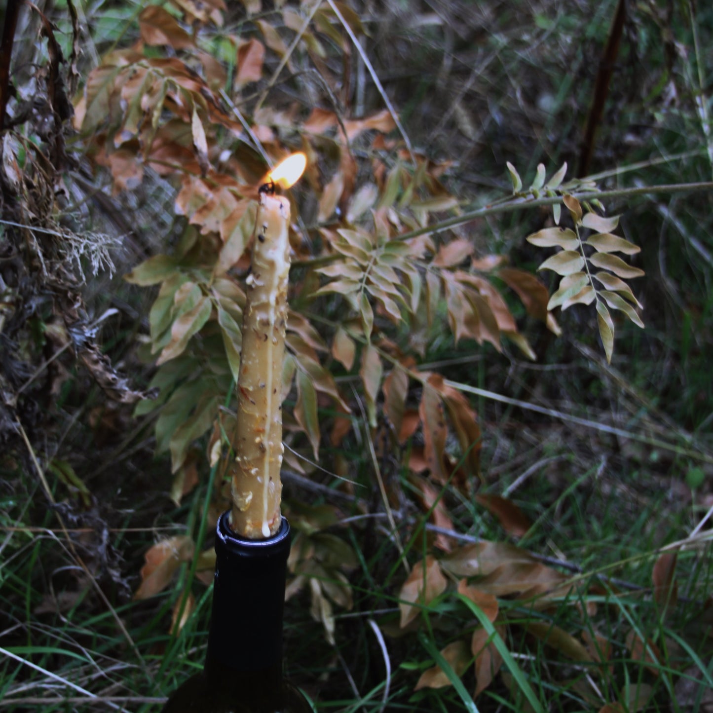 Herbal Dipped Beeswax Candle