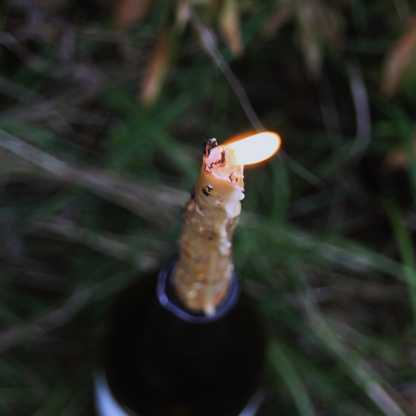Herbal Dipped Beeswax Candle
