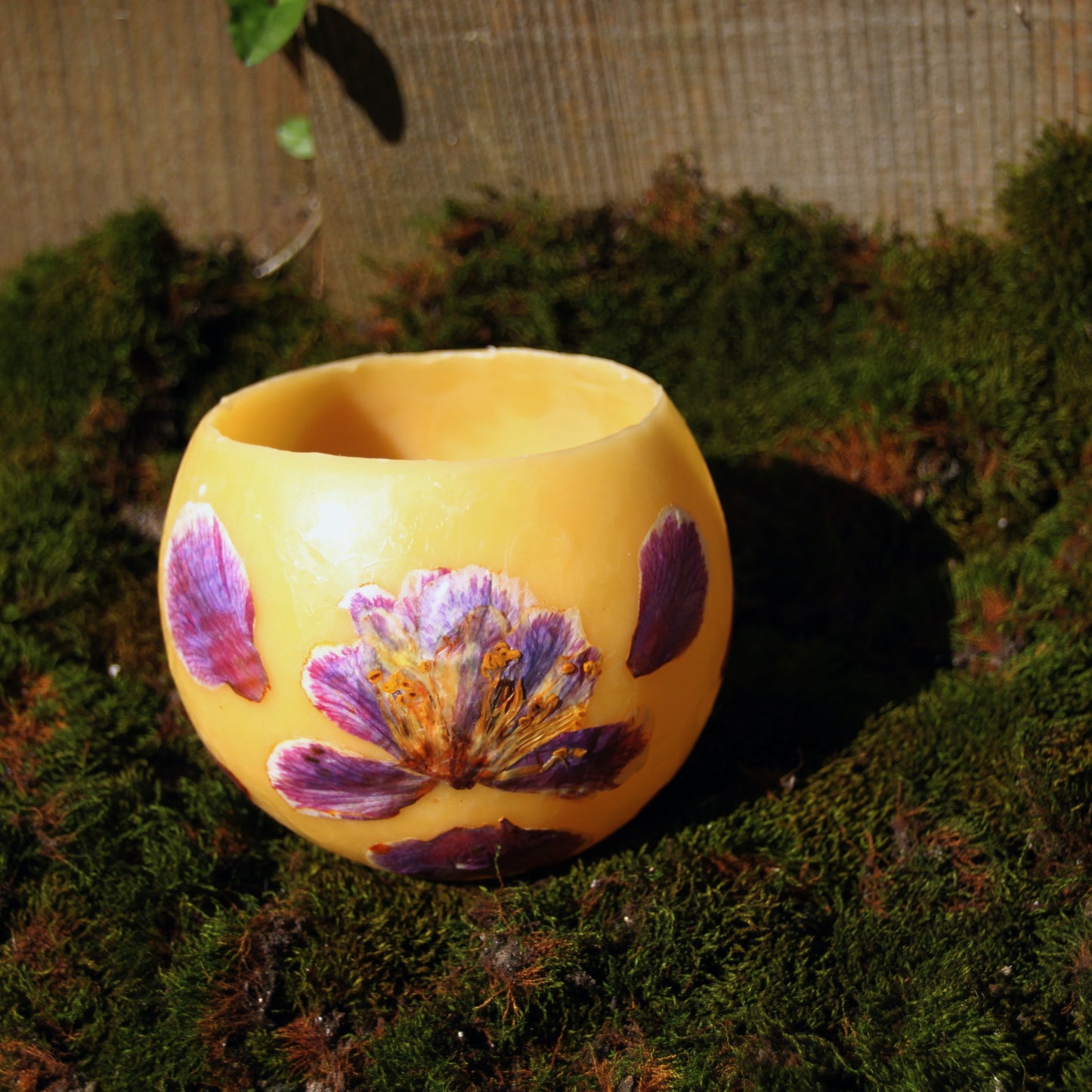 Camellia Lantern