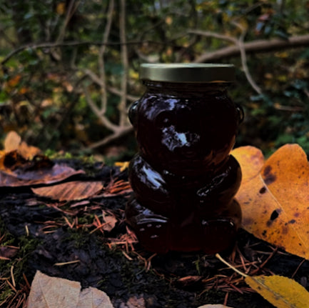 Honey Large Bear