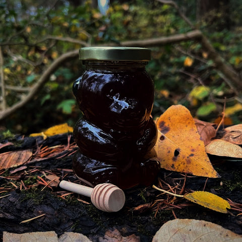 Honey Large Bear