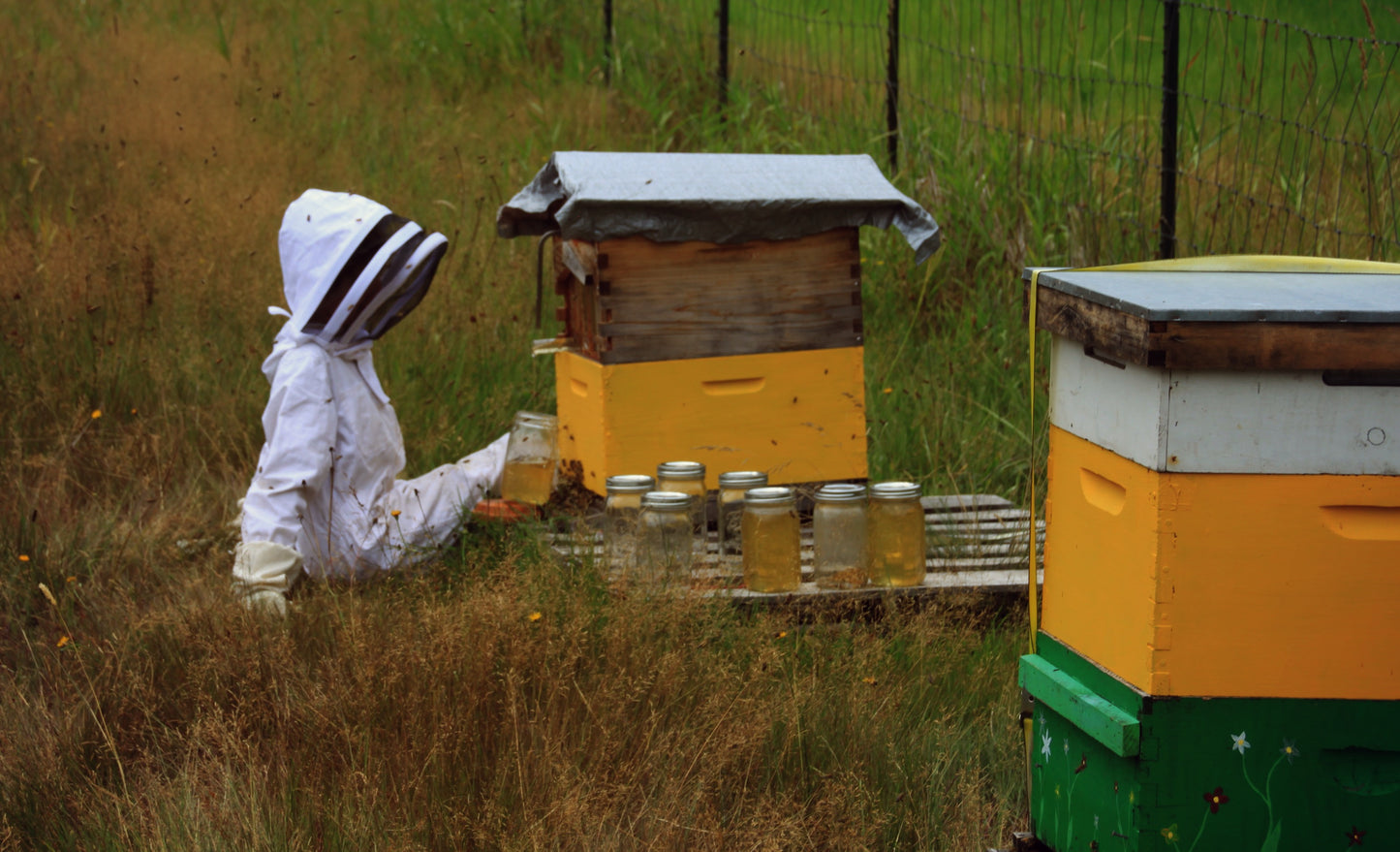 Honey CSA Pre-Sale