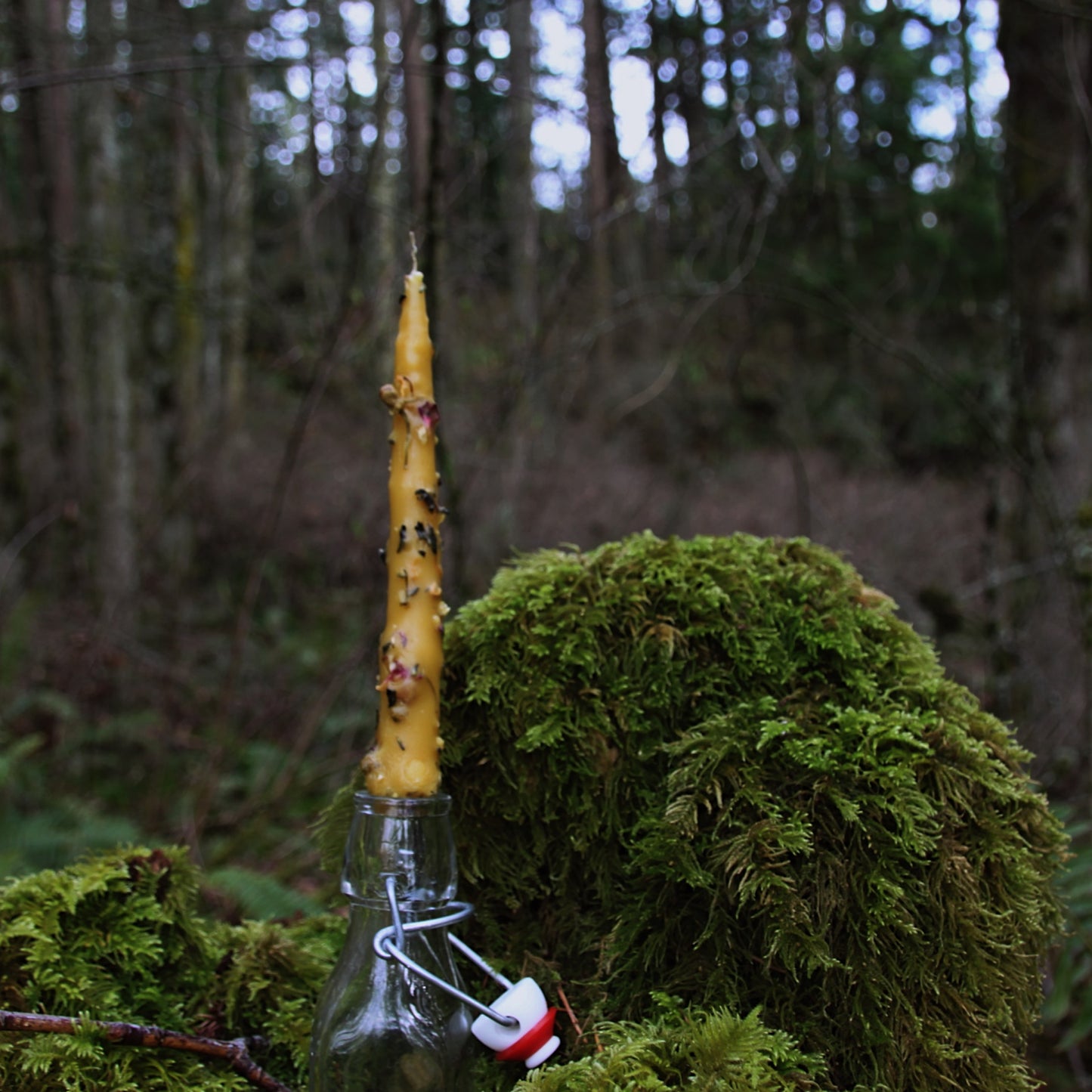 Herbal Dipped Beeswax Candle