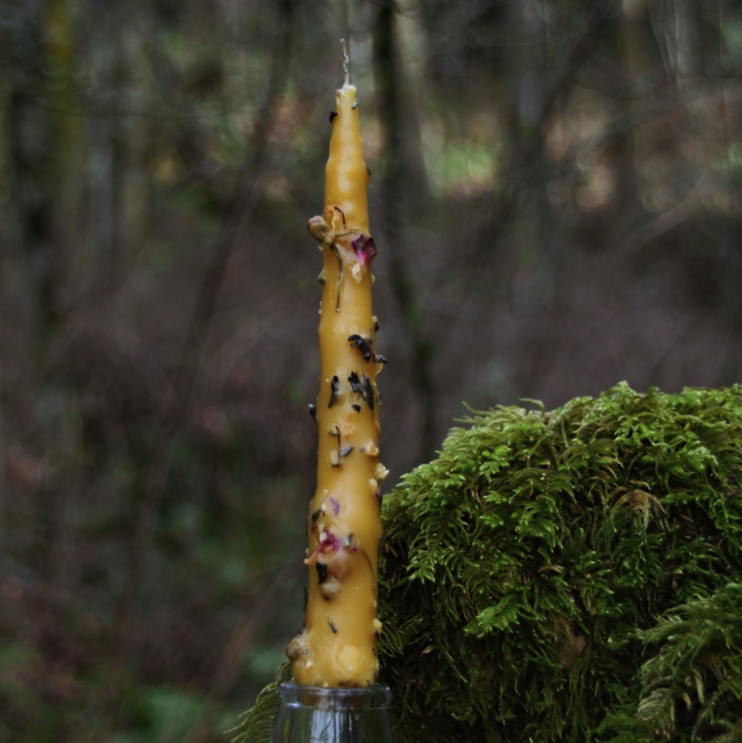 Herbal Dipped Beeswax Candle