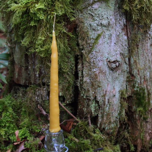 Large Dipped Beeswax Candle