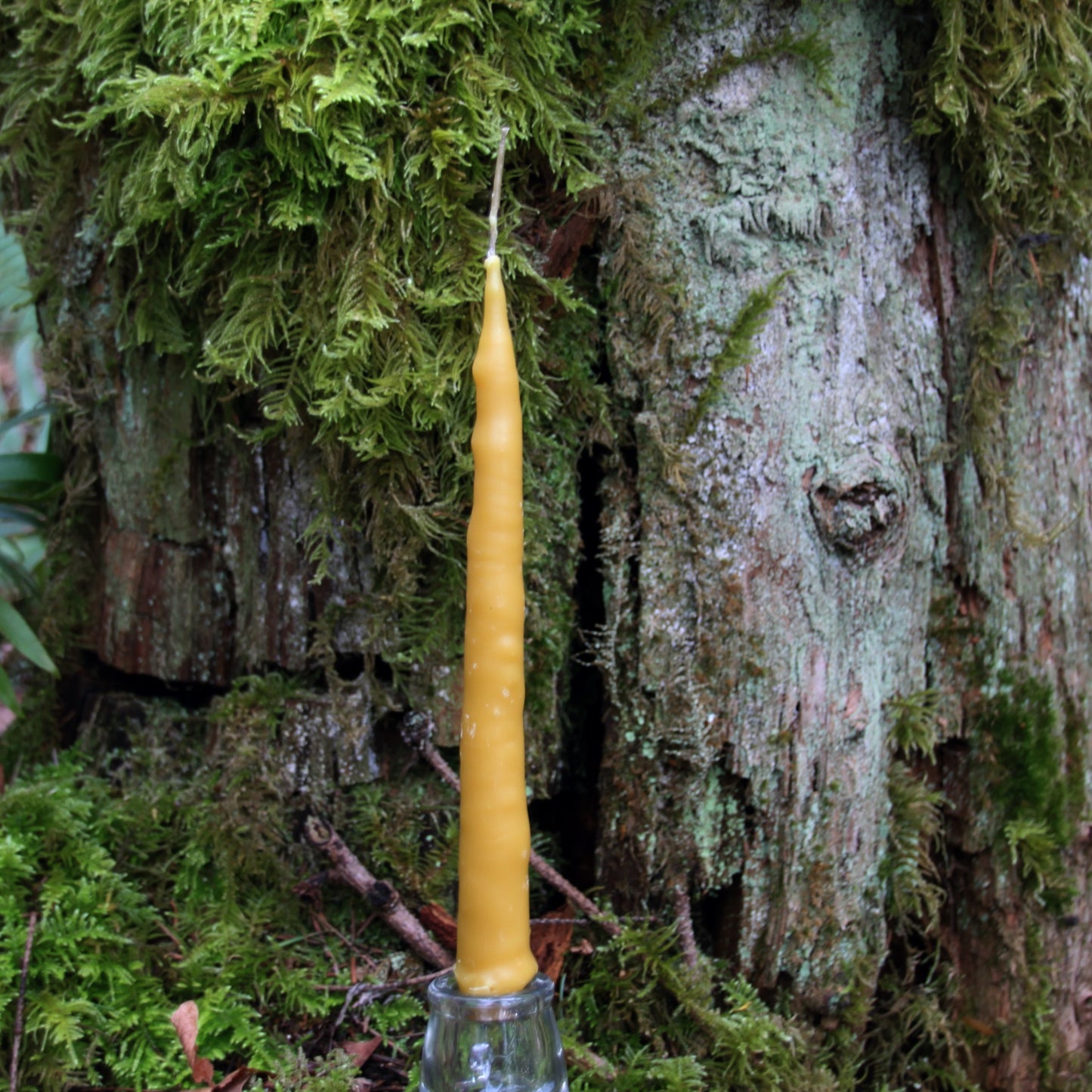 Large Dipped Beeswax Candle