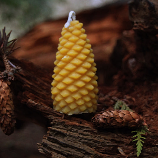 Pinecone Candle