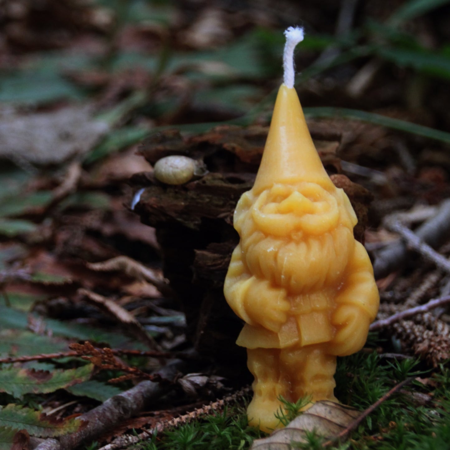 Dwarf Candle