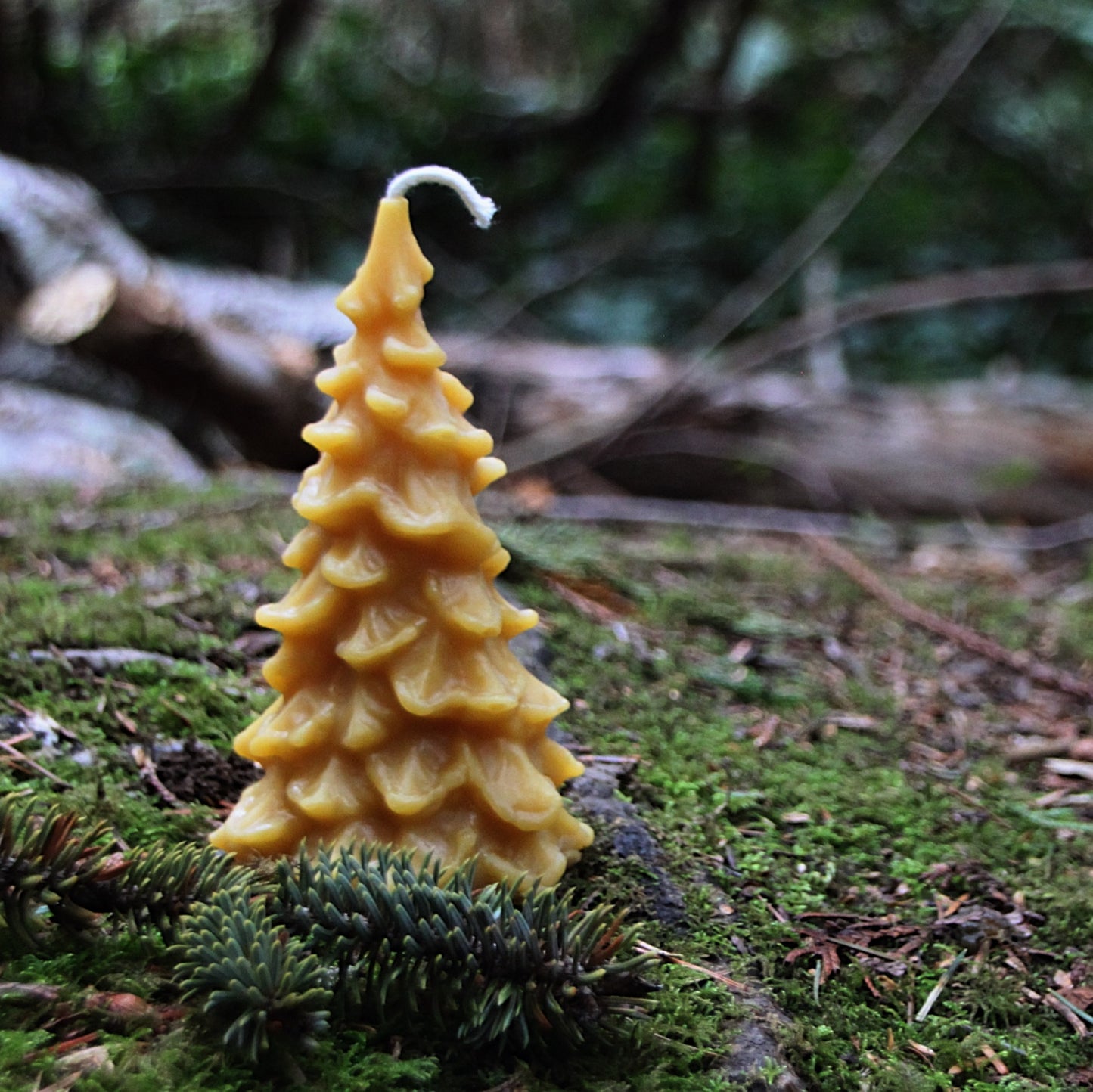 Tree Candle